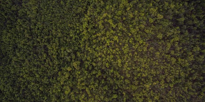 专业评测：南亚木业多层实木板与生态板，谁才是定制柜体的王者之选？