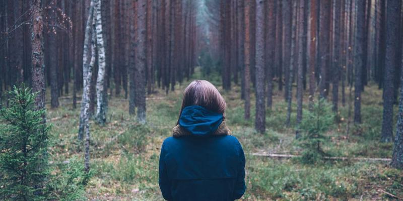 从木方到艺术：南亚木业实木护墙板定制如何实现装饰、功能与美学的三重奏