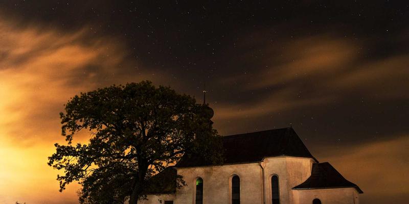 从源头到项目：南亚木业如何以专业木材供应商角色赋能工程装修全链路