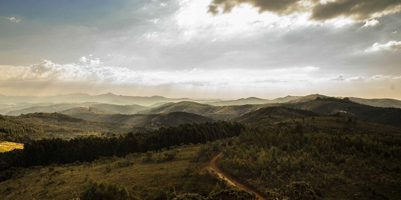 从源头把控品质：南亚木业进口木材烘干技术与稳定性控制的深度解析